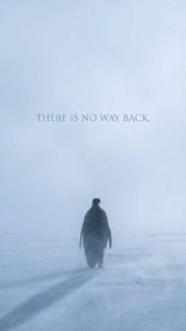 Nihilist Penguin There is No Way Back iPhone Wallpaper 4K Nihilist Penguin There is No Way Back iPhone Wallpaper 4K