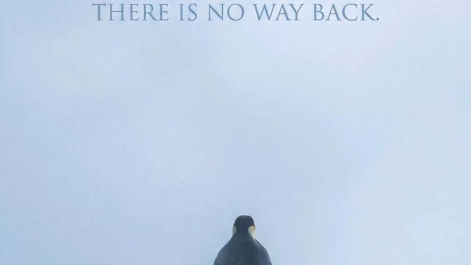 Nihilist Penguin There is No Way Back iPhone Wallpaper 4K