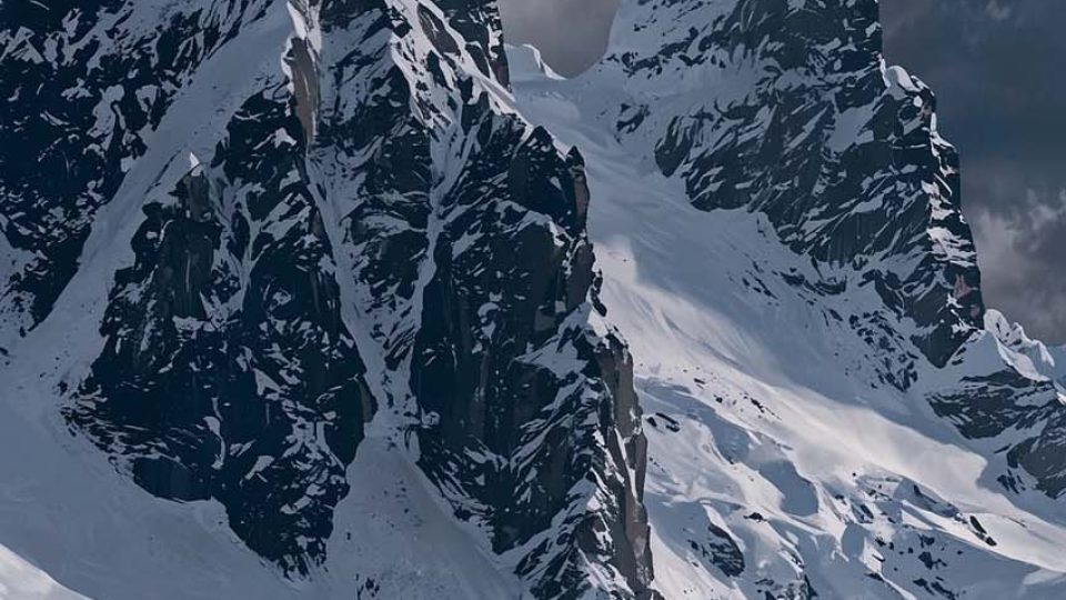 Nihilist Penguin Walking Alone iPhone Wallpaper 4K