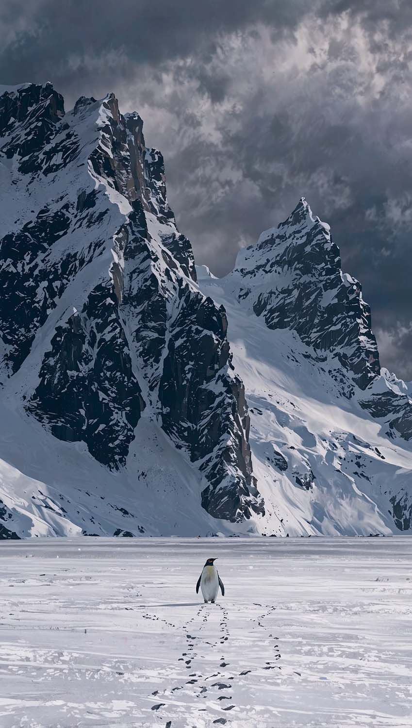 Nihilist Penguin Walking Alone iPhone Wallpaper 4K