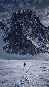 Nihilist Penguin iPhone Wallpaper 4K Nihilist Penguin iPhone Wallpaper 4K