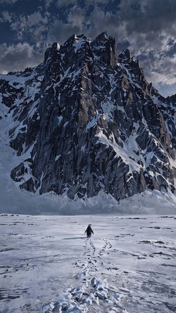 Nihilist Penguin iPhone Wallpaper 4K