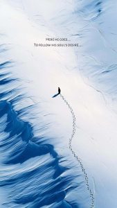 Penguin Goes Alone iPhone Wallpaper Penguin Goes Alone iPhone Wallpaper