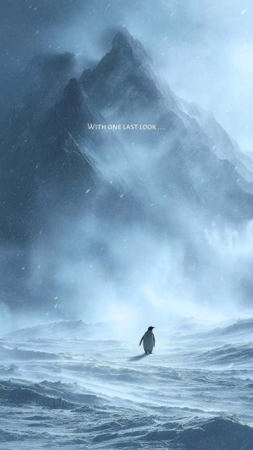 Penguin Last Look iPhone Wallpaper
