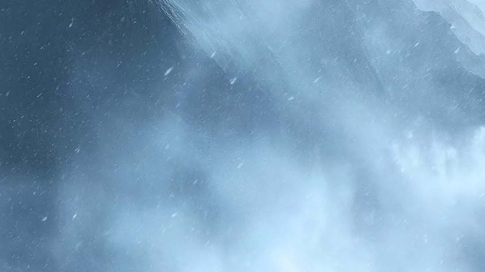 Penguin Last Look iPhone Wallpaper