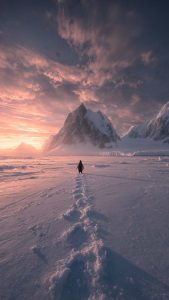 Penguin Long Way iPhone Wallpaper