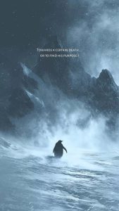 Penguin Purpose iPhone Wallpaper Penguin Purpose iPhone Wallpaper