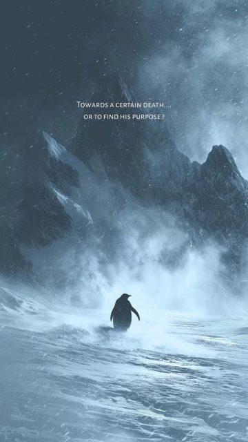 Penguin Purpose iPhone Wallpaper