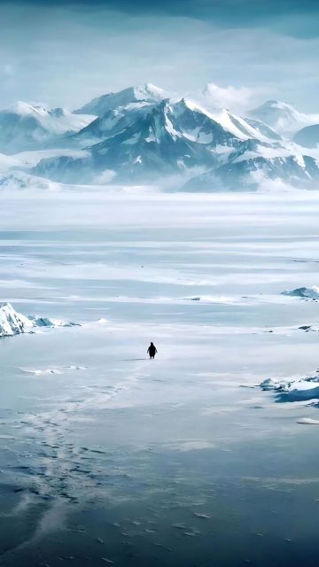 Stubborn Penguin Motivation iPhone Wallpaper