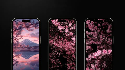 8k wallpapers 8k wallpapers