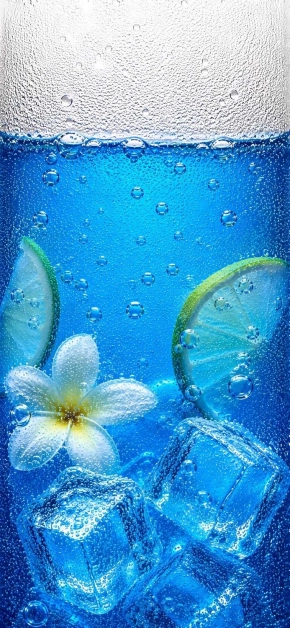 blue-tropical-flower-ice-iphone-wallpaper-4k blue-tropical-flower-ice-iphone-wallpaper-4k