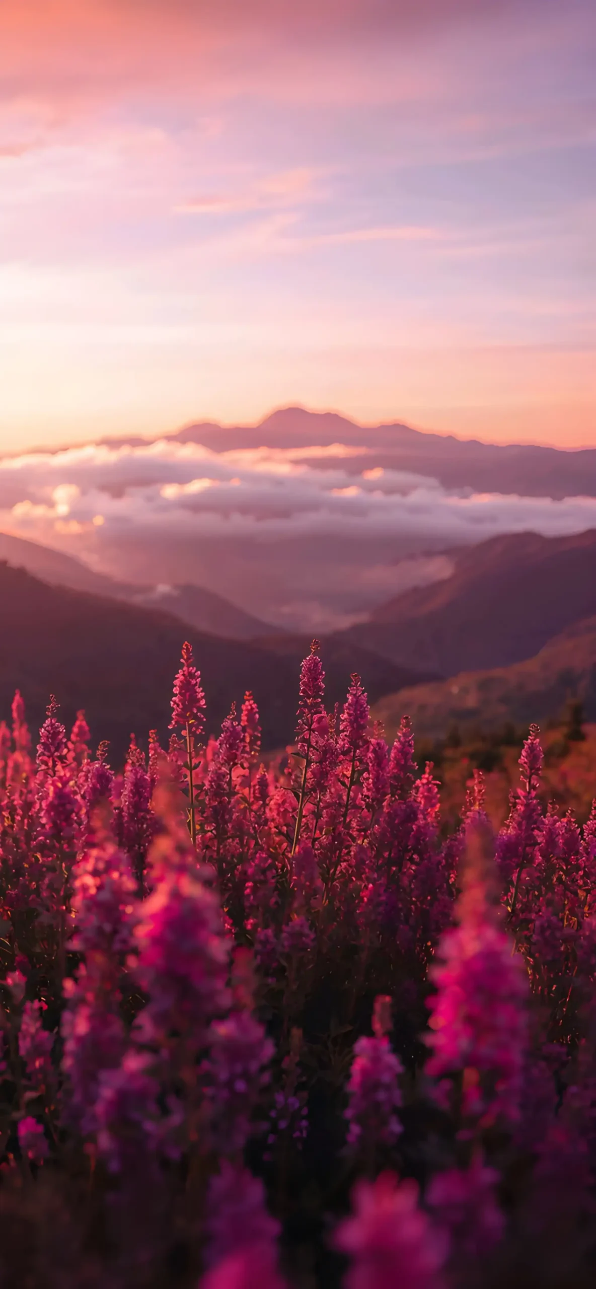 15+ iOS 27 3D Spatial Scene Wallpapers for iPhone (4K HD) 1 3d-lavender-field-landscape-depth-effect-iPhone-Wallpaper