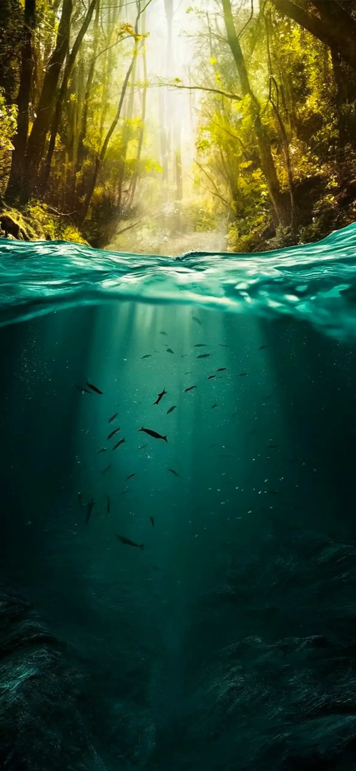 Ocean Depth Effect Wallpapers for iPhone (4K HD) – Free Download 1 4k-3d-aquatic-nature-depth-effect-iPhone-Wallpaper