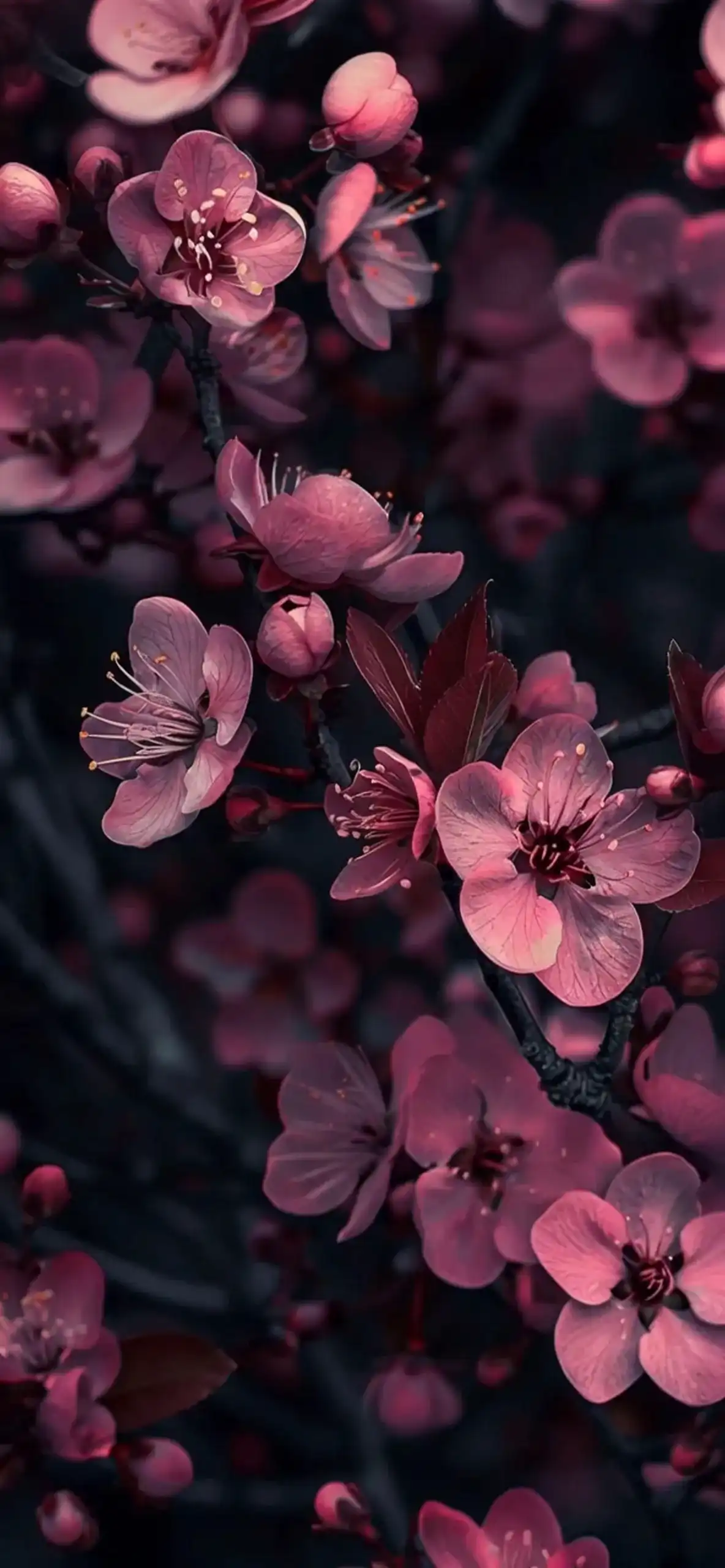 20+ Blooming Sakura 3D Depth Effect iPhone Wallpapers 4K 1 vibrant-floral-depth-effect-4k-nature-ios-iPhone-Wallpaper