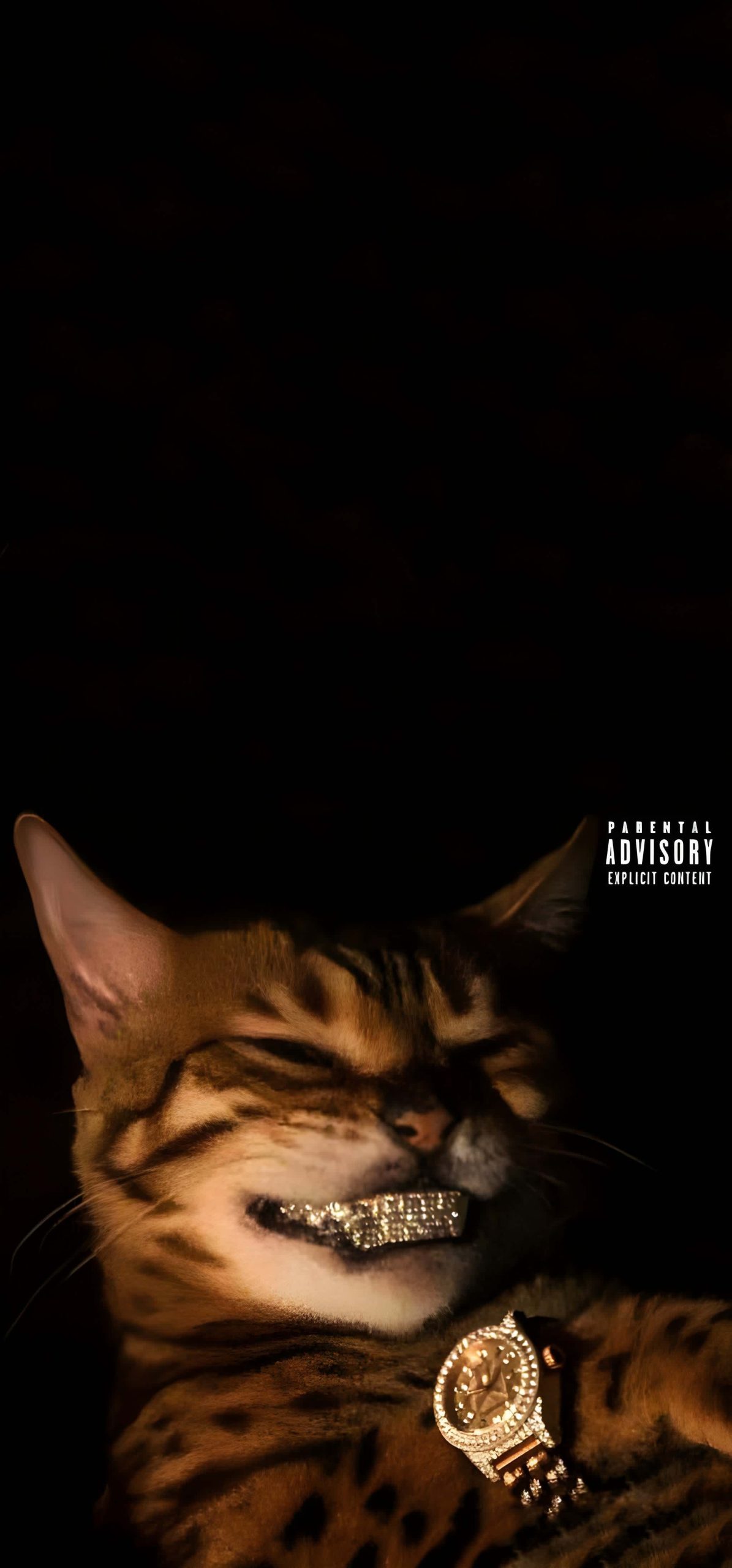 15+ 4K Cat iPhone Wallpapers for Lock Screen & Home Screen 1 bengal-cat-diamond-grillz-rolex-watch-parental-advisory-iphone-wallpaper