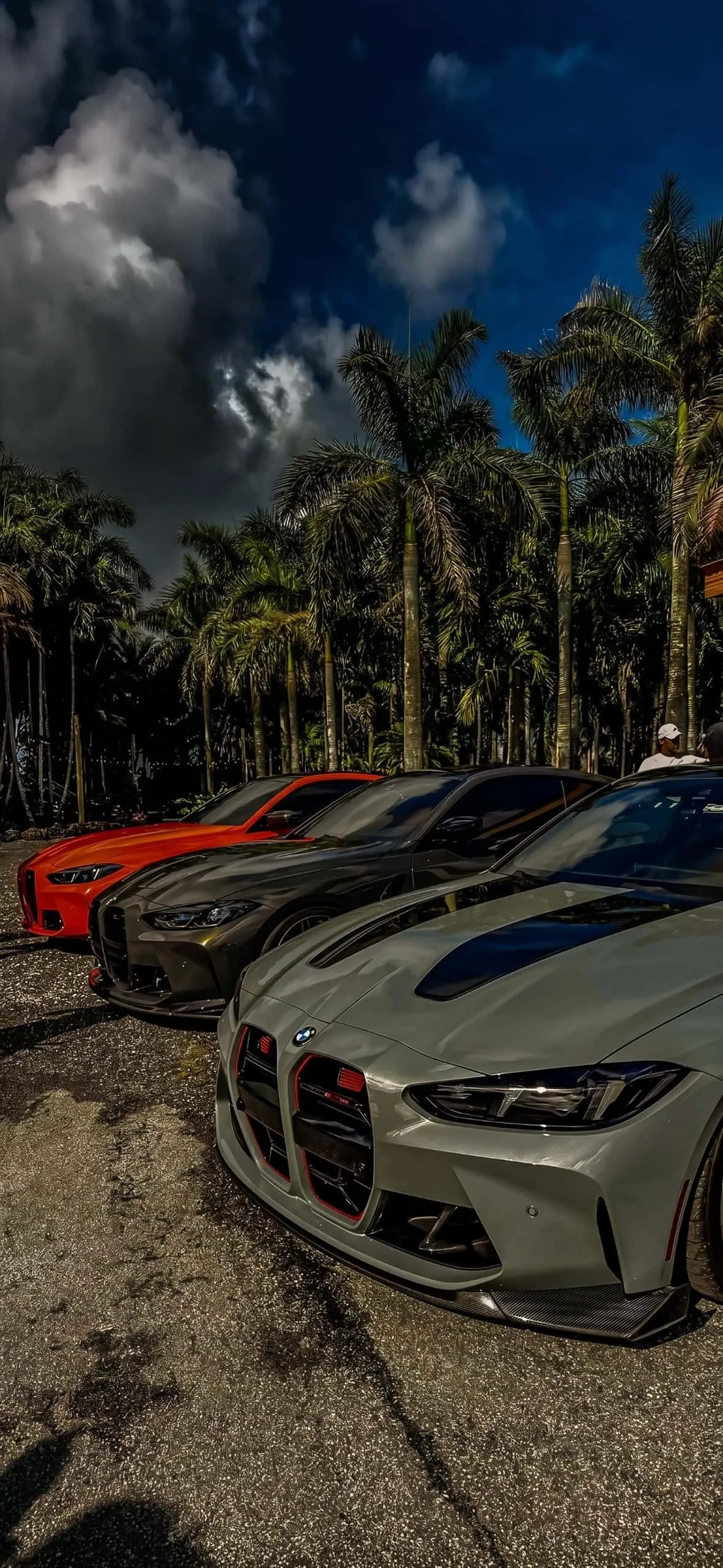 BMW M4 iPhone Wallpapers: High-Resolution 4K Backgrounds 5 bmw-m3-m4-lineup-nardo-grey-tropical-palm-trees-iphone-wallpaper