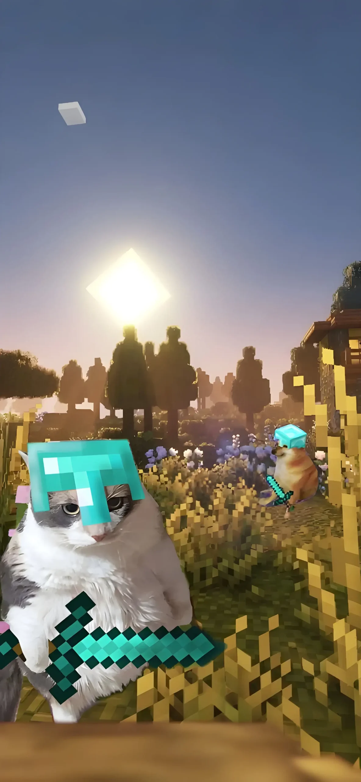15+ 4K Cat iPhone Wallpapers for Lock Screen & Home Screen 3 cat-and-doge-minecraft-diamond-armor-sunset-iphone-wallpaper
