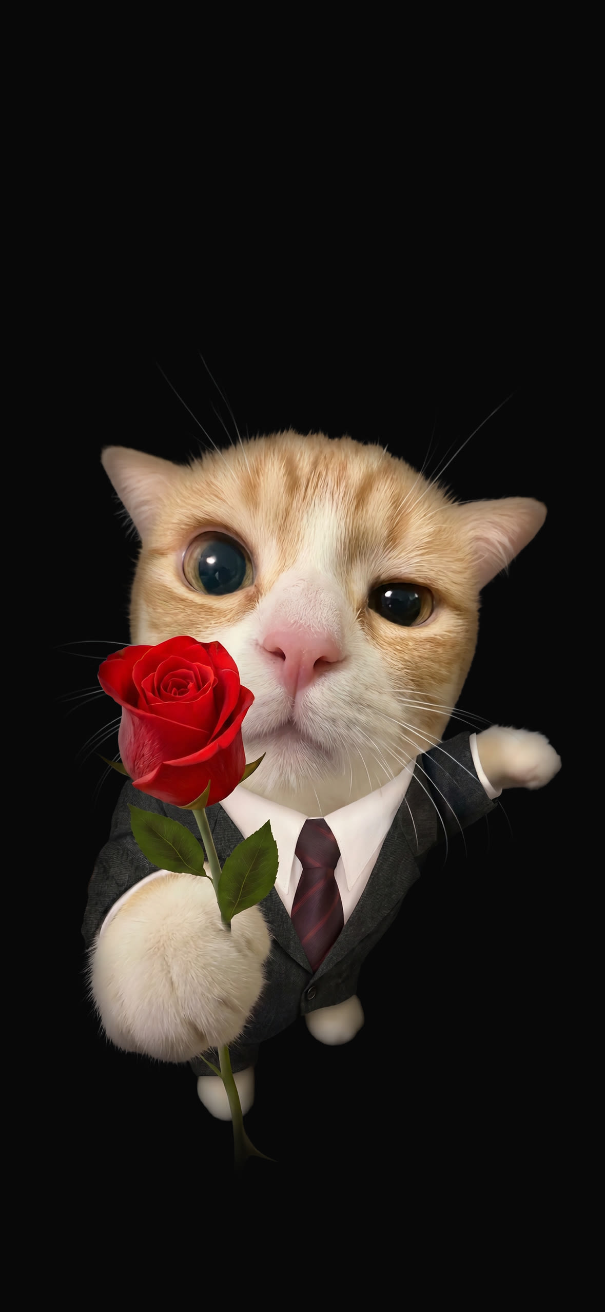 15+ 4K Cat iPhone Wallpapers for Lock Screen & Home Screen 12 gentleman-cat-suit-holding-red-rose-black-background-iphone-wallpaper