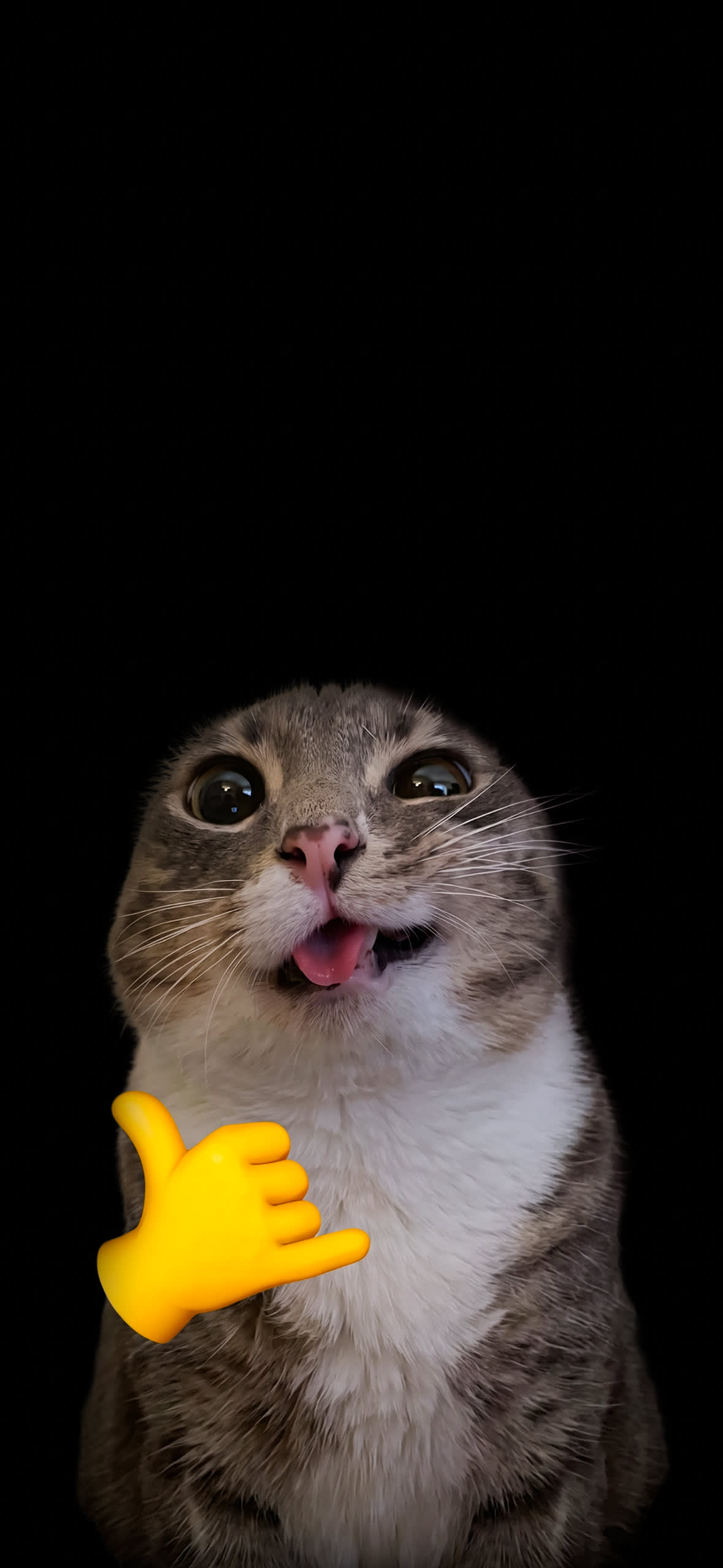 15+ 4K Cat iPhone Wallpapers for Lock Screen & Home Screen 13 goofy-blep-cat-shaka-hand-emoji-black-background-iphone-wallpaper