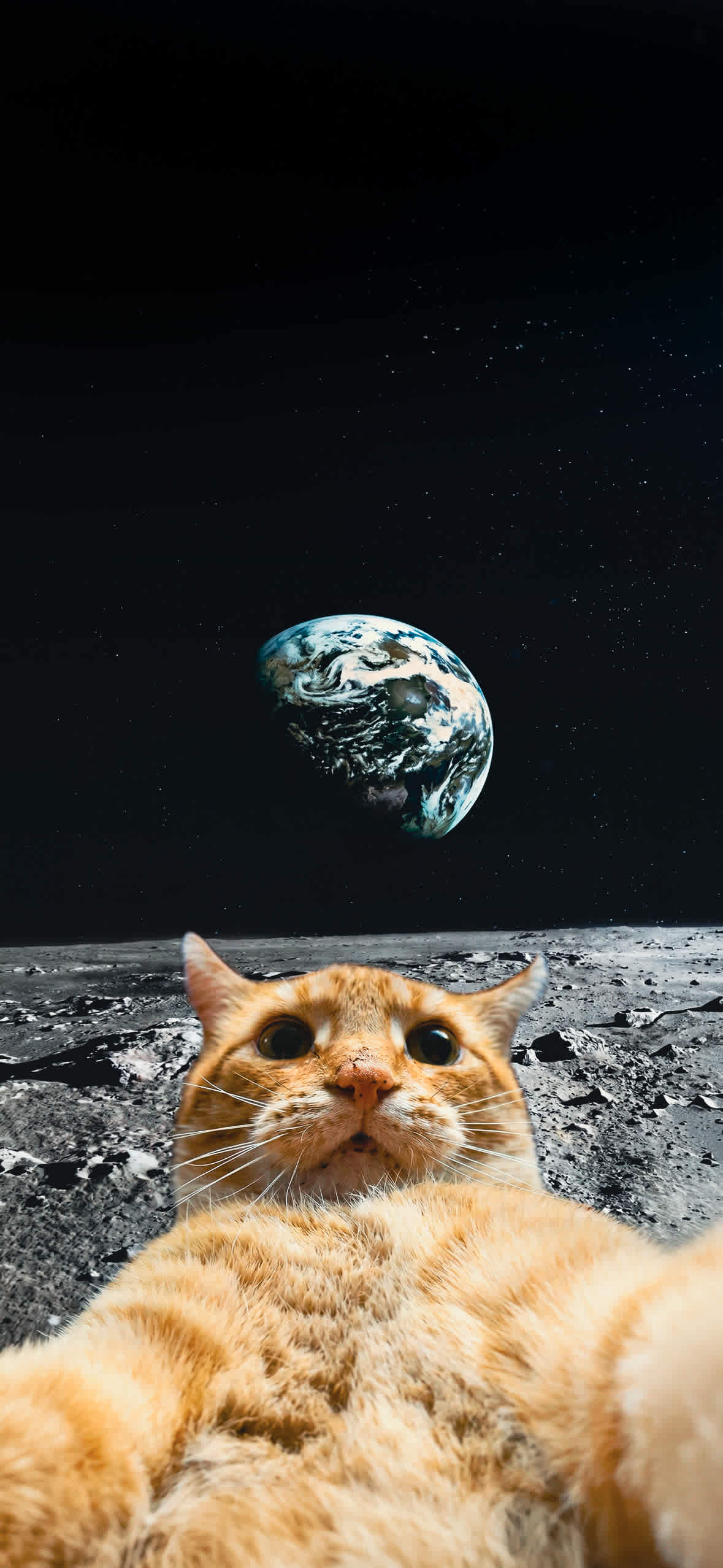 15+ 4K Cat iPhone Wallpapers for Lock Screen & Home Screen 14 orange-cat-selfie-on-the-moon-earth-background-iphone-wallpaper