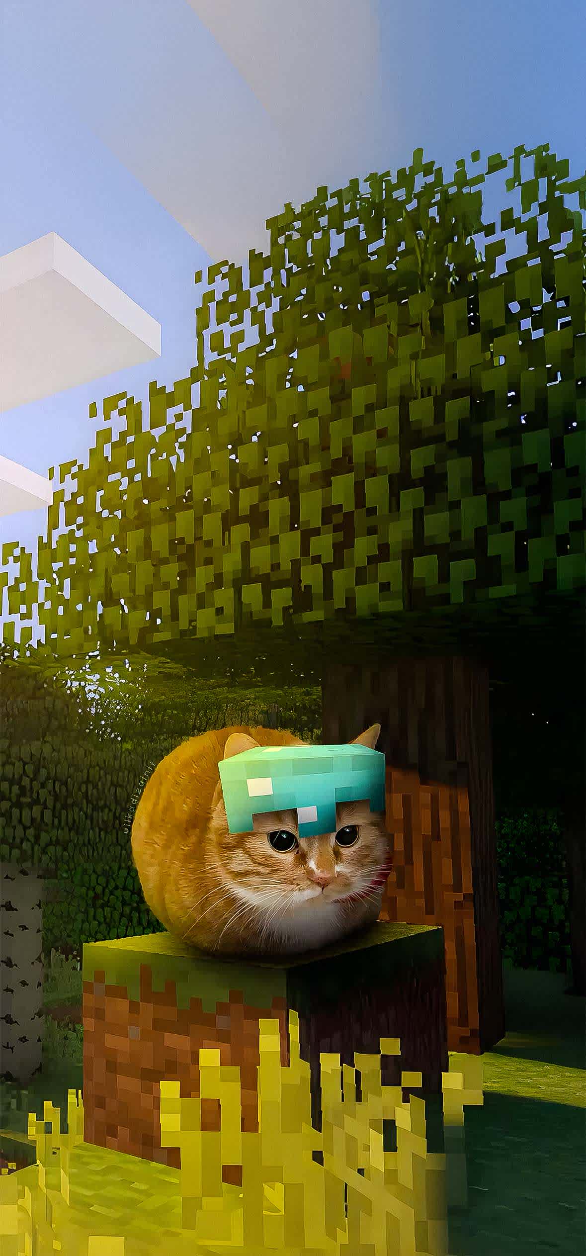 15+ 4K Cat iPhone Wallpapers for Lock Screen & Home Screen 16 orange-tabby-cat-loaf-minecraft-diamond-helmet-iphone-wallpaper