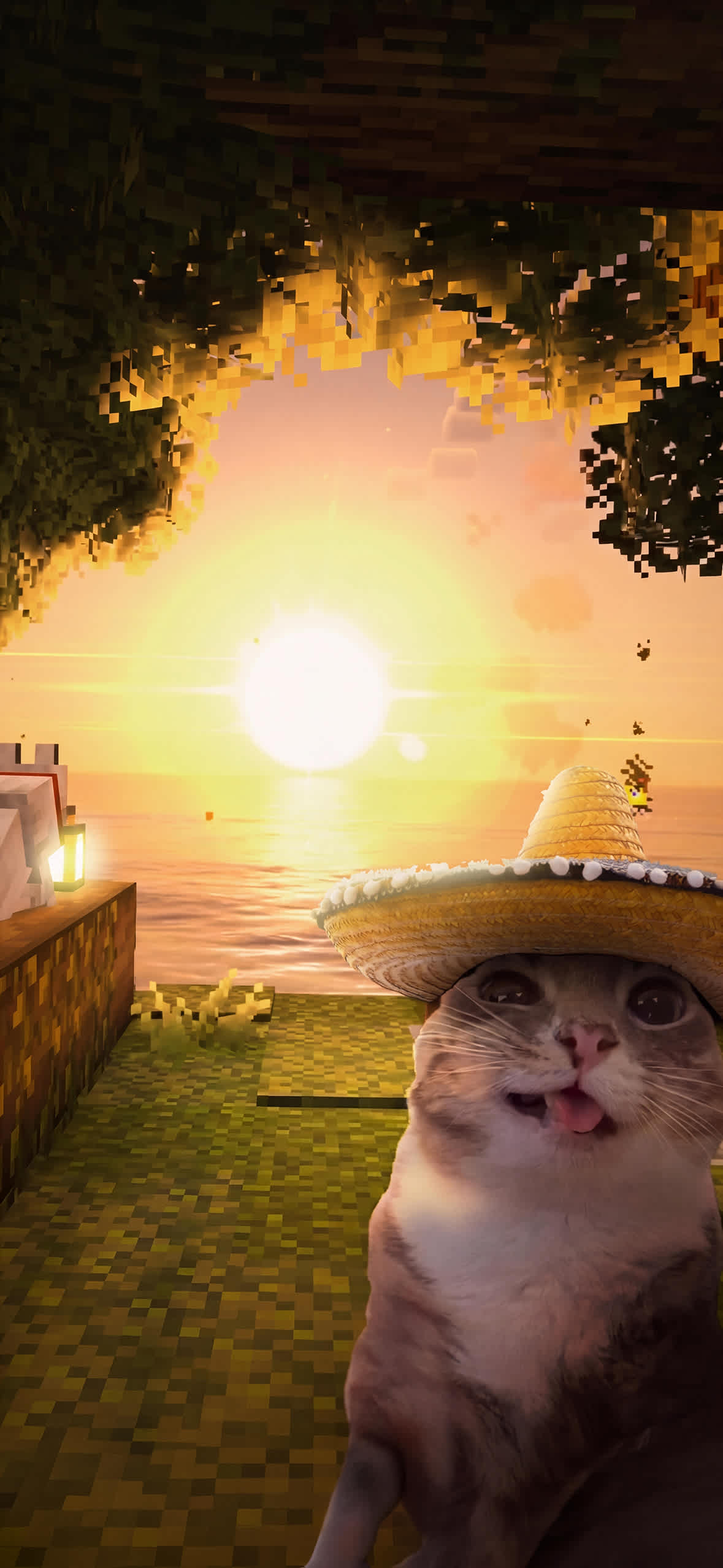 15+ 4K Cat iPhone Wallpapers for Lock Screen & Home Screen 17 sombrero-cat-blep-minecraft-sunset-ocean-iphone-wallpaper