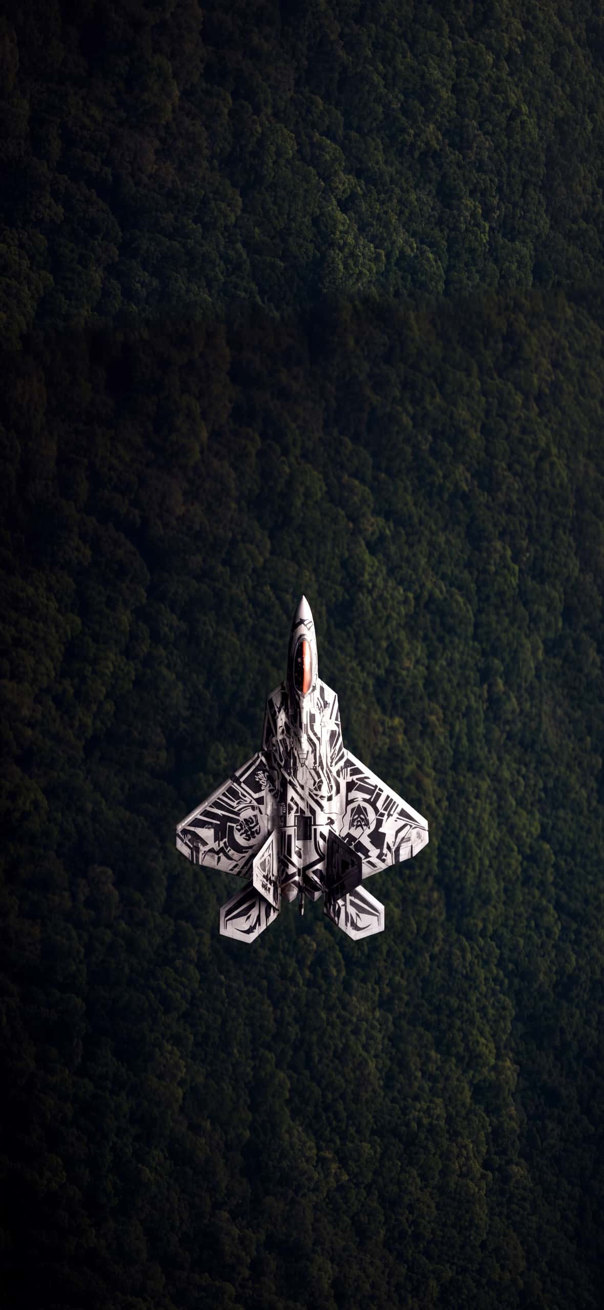 Fighter Jet iPhone Wallpapers 4K | Military Aviation HD Backgrounds 12 patterned-f-22-raptor-stealth-fighter-forest-top-view-wallpaper