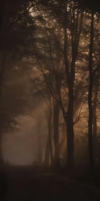 foggy-sepia-forest-sun-rays-aesthetic-iphone-wallpaper