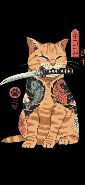 Catana Cat iPhone Wallpaper