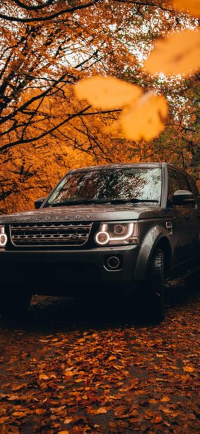 Land Rover Discovery Autumn
