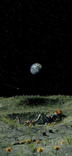 Moon Garden Astronaut