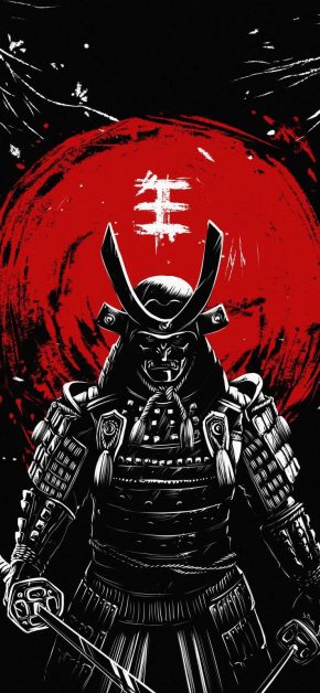Ninja Samurai