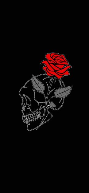 Rose Skull iPhone Wallpaper