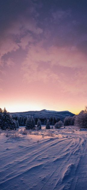 Snow Nature Sunrise iPhone Wallpaper