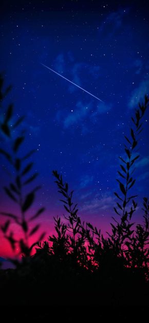 Starry Sky Shooting Star Nature