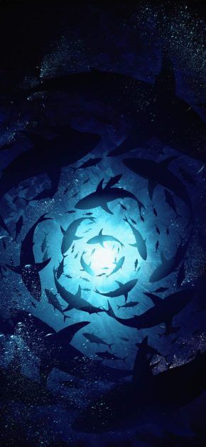 Underwater World iPhone Wallpaper