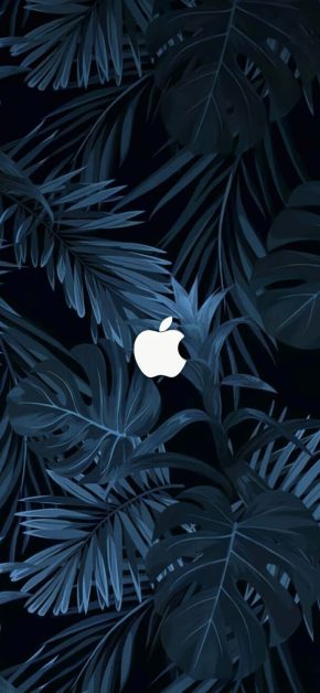 Apple Tropical iPhone Wallpaper 4K Apple Tropical iPhone Wallpaper 4K