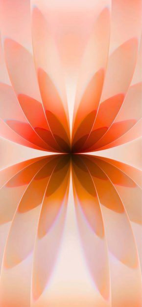 iPhone 17 Flower Wallpaper 2 iPhone 17 Flower Wallpaper 2