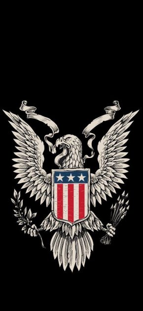american-eagle-bald-eagle-shield-dark-iphone-wallpaper