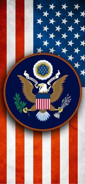 american-flag-great-seal-4th-july-iphone-wallpaper