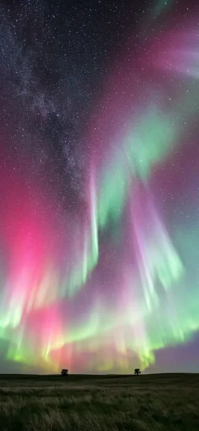 iphone-wallpaper-aurora-borealis-green-pink-two-trees