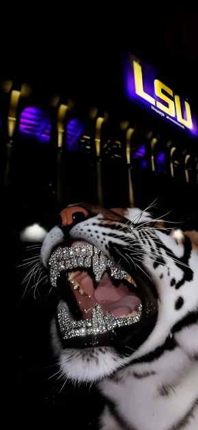 8K Wallpapers: Free Ultra HD 8K iPad & iPhone Backgrounds 12 lsu-tiger-diamond-grillz-teeth-drip-wallpaper-8k